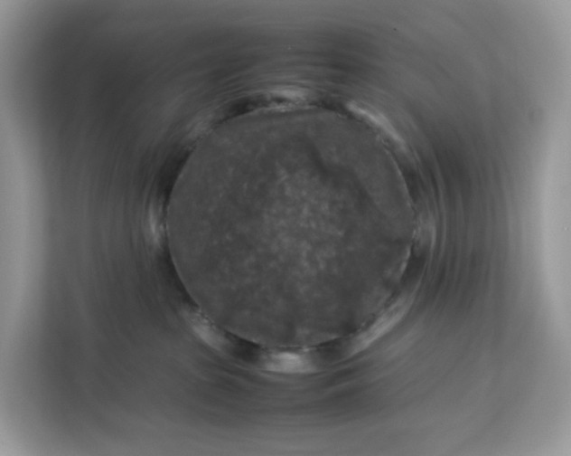 X0000112210285200908281506