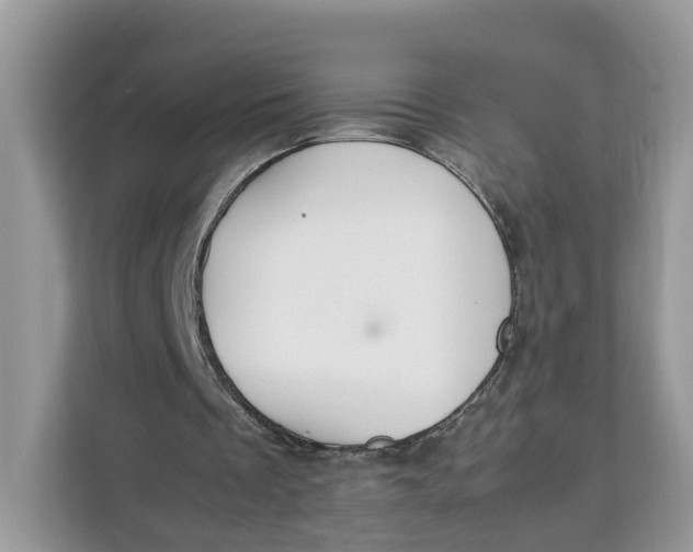 X0000112210289200908281505