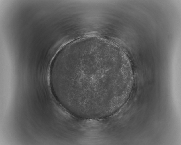 X0000112210290200908281505