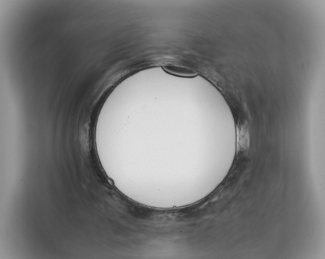 X0000112210291200908281505