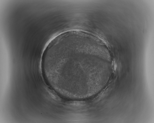 X0000112210292200908281505