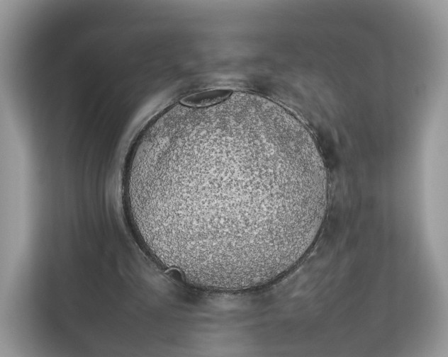 X0000112210293200908281505