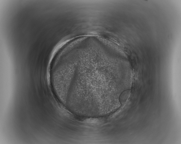 X0000112210294200908281505