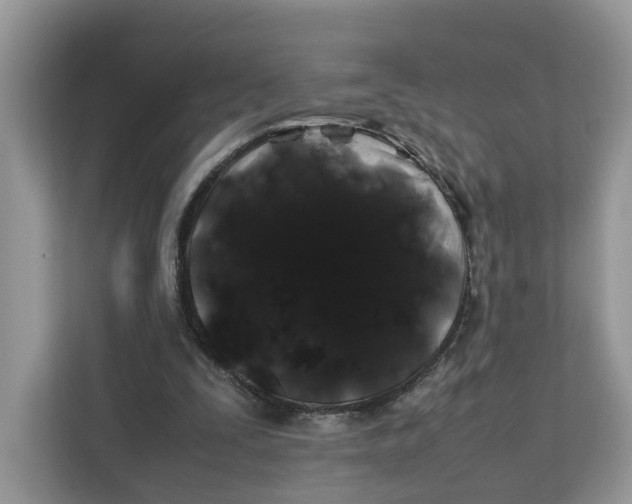 X0000112210295200908281505