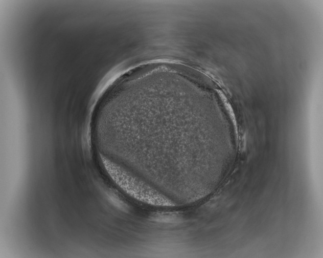 X0000112210296200908281505