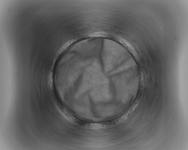 X0000112210298200908281505