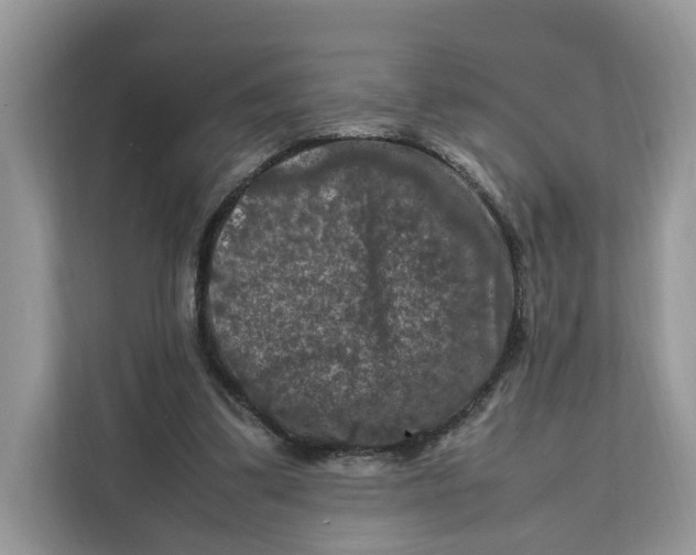 X0000112210299200908281505