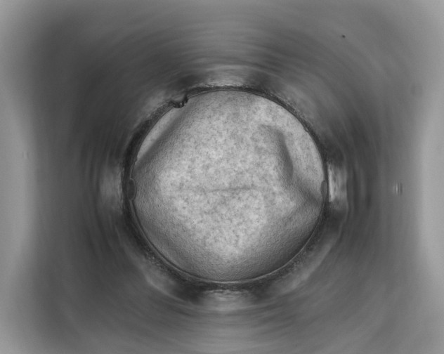 X0000112210300200908281505