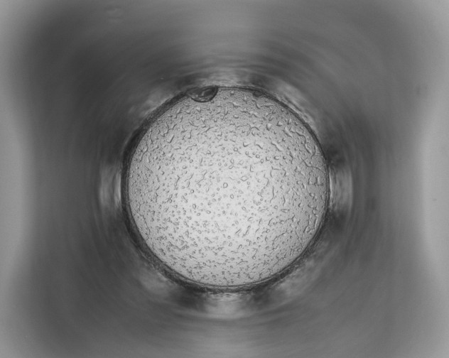X0000112210301200908281505