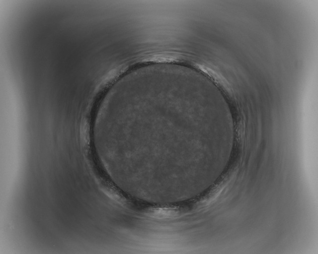 X0000112210303200908281505
