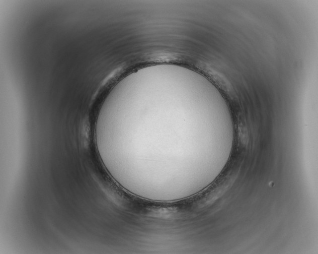 X0000112210304200908281505