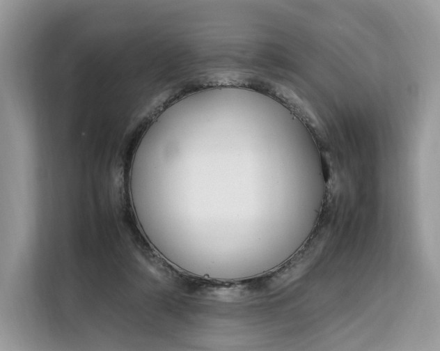 X0000112210306200908281505