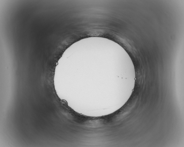 X0000112210307200908281505