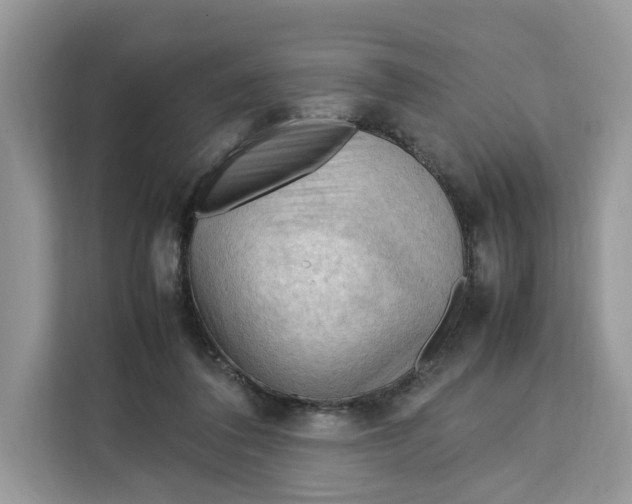 X0000112210308200908281505