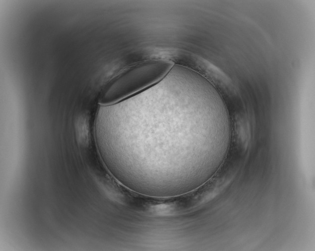 X0000112210312200908281505