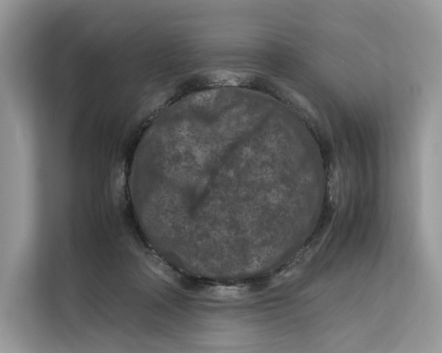 X0000112210314200908281505