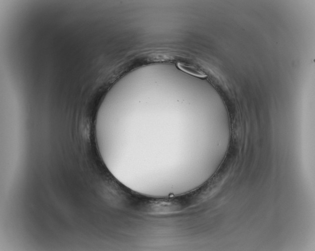 X0000112210315200908281505