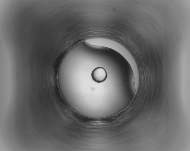 X0000112210316200908281505