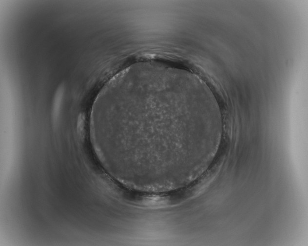 X0000112210319200908281505
