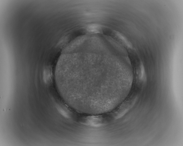 X0000112210320200908281505