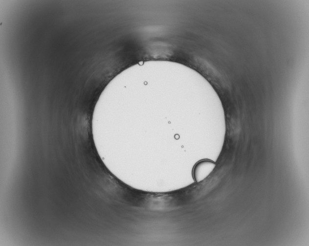 X0000112210321200908281505