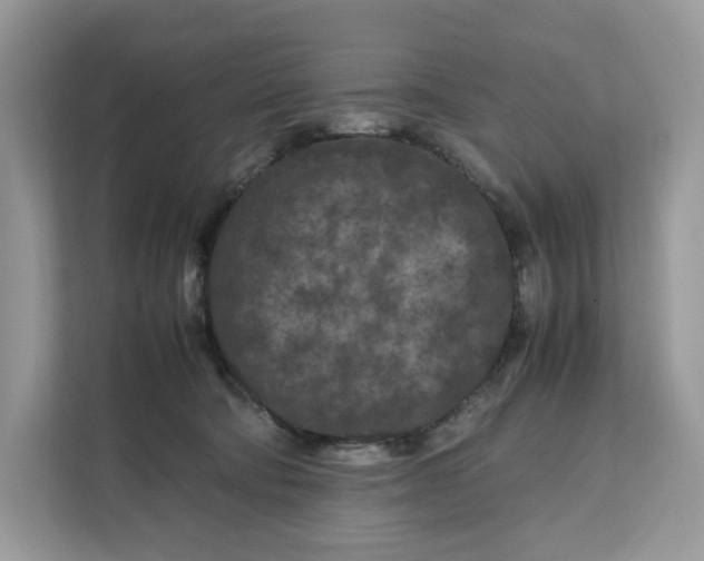 X0000112210322200908281505