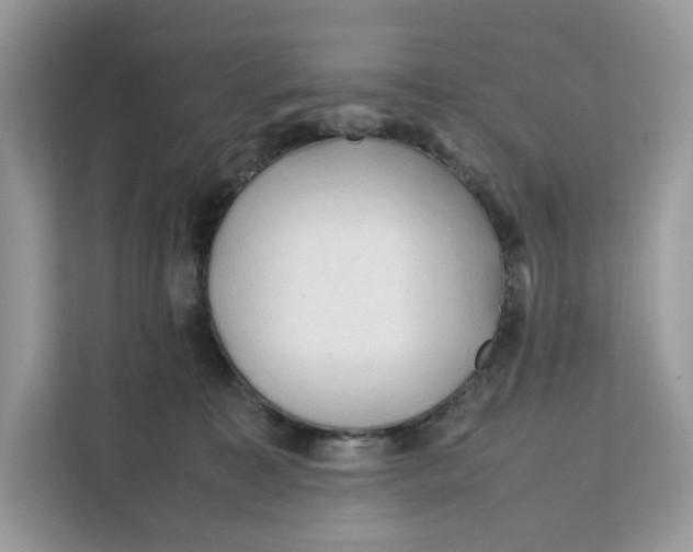 X0000112210323200908281505