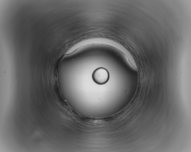 X0000112210324200908281505