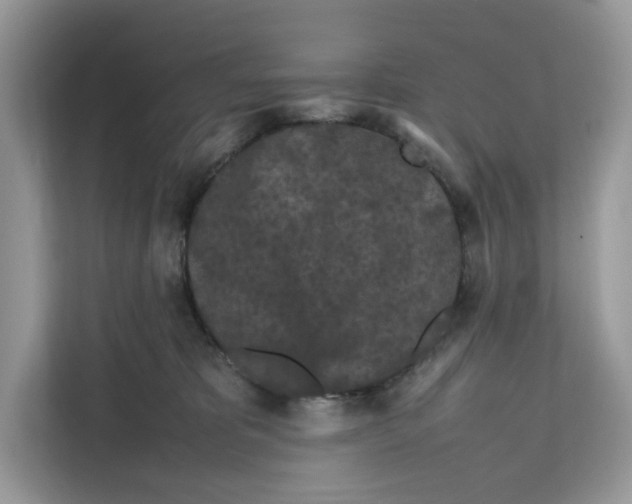 X0000112210325200908281505