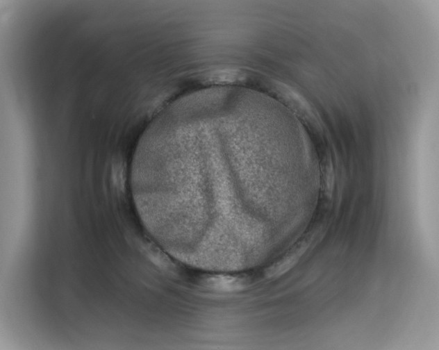 X0000112210326200908281505