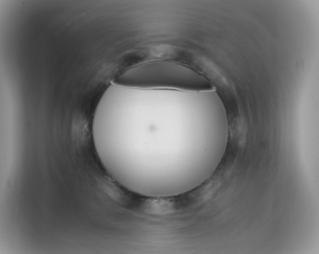 X0000112210327200908281505
