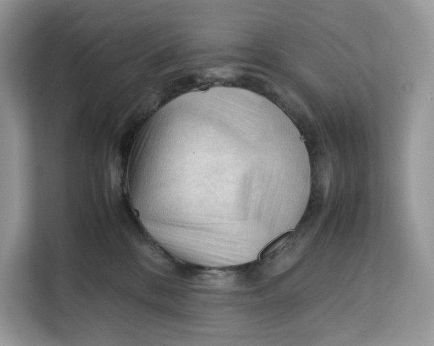 X0000112210328200908281505