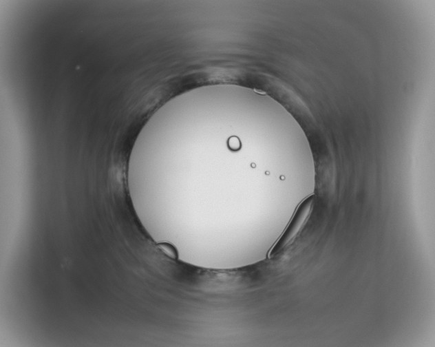 X0000112210329200908281505