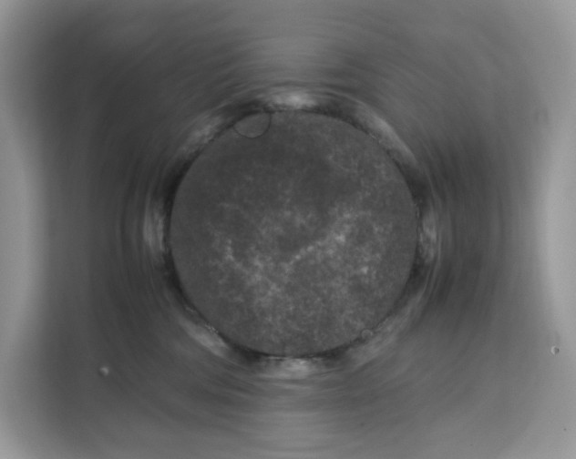 X0000112210330200908281505