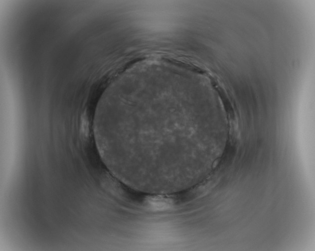 X0000112210331200908281505
