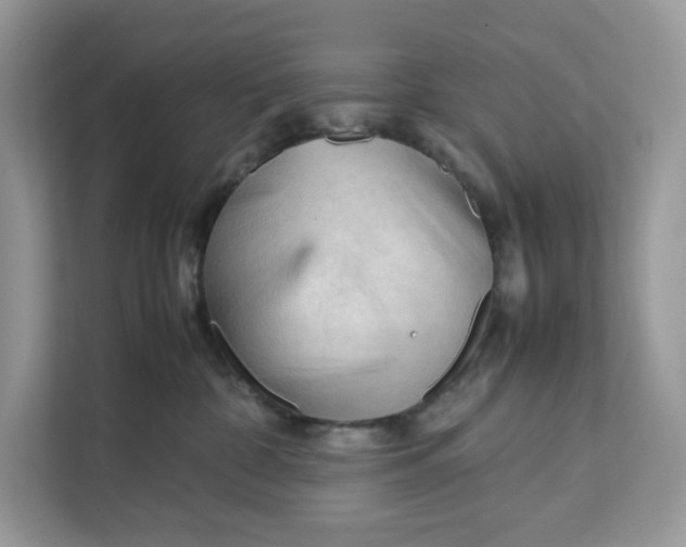 X0000112210332200908281505