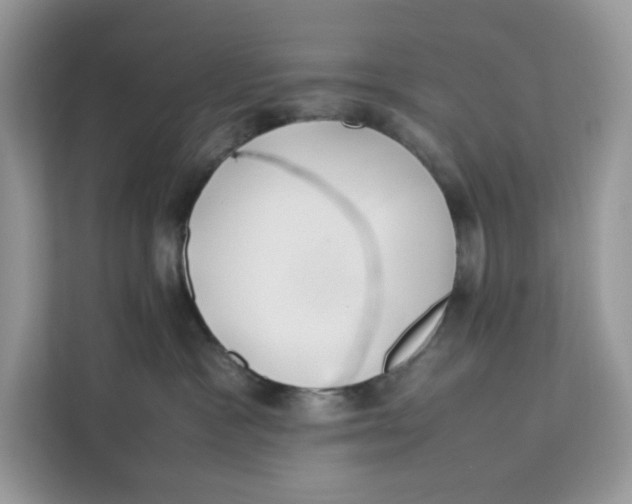 X0000112210333200908281505