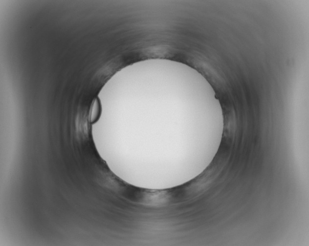 X0000112210334200908281505