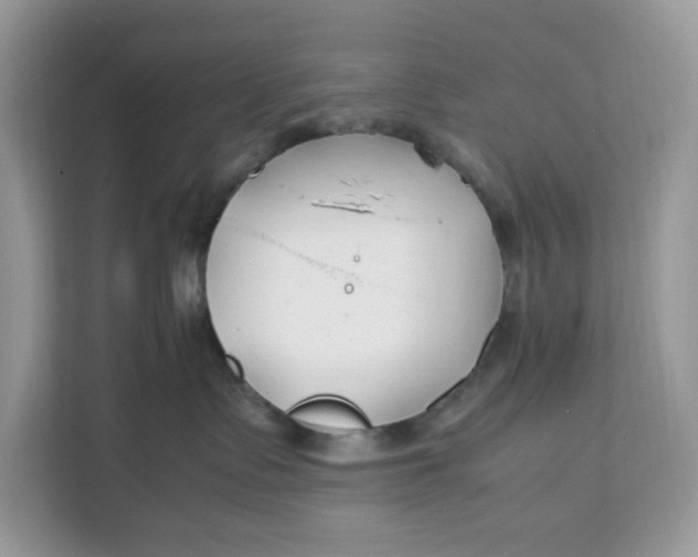 X0000112210335200908281505