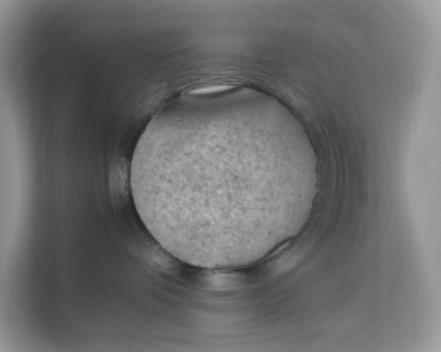 X0000112210336200908281505