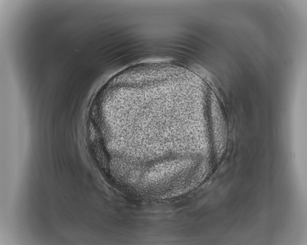 X0000112210337200908281504