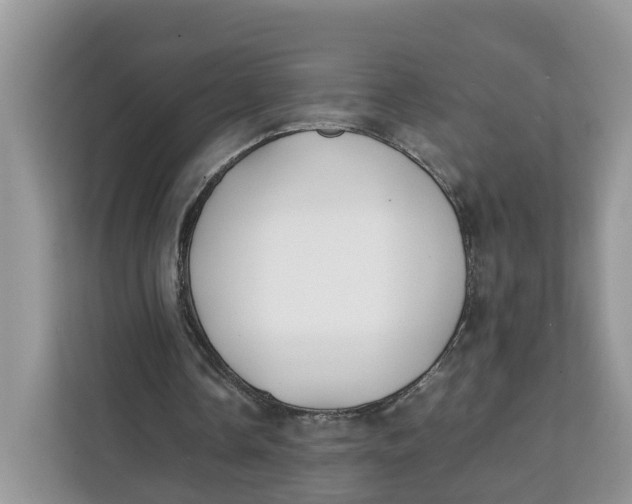 X0000112210338200908281504