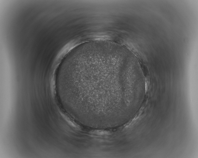 X0000112210339200908281504