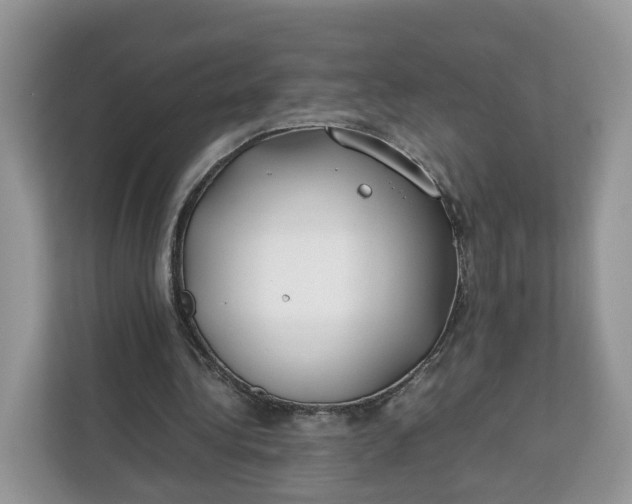 X0000112210340200908281504