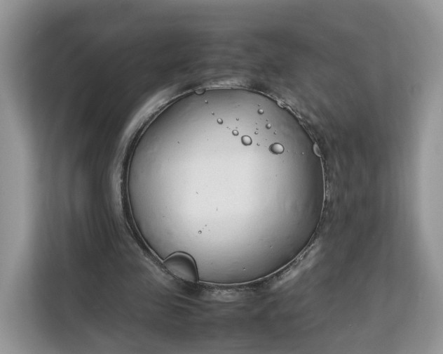 X0000112210341200908281504