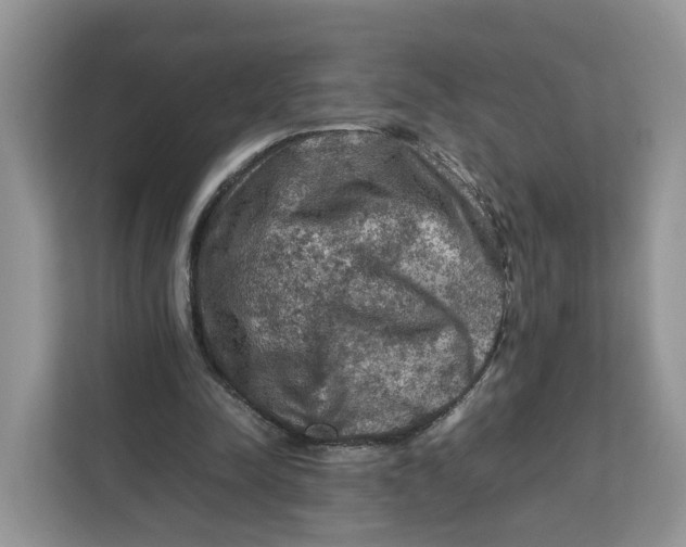 X0000112210342200908281504