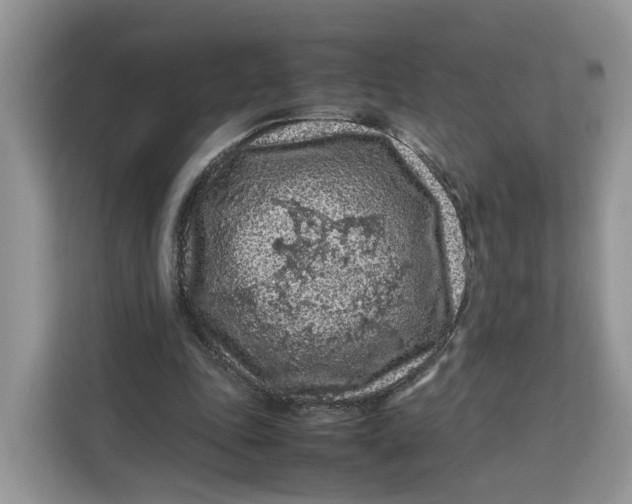 X0000112210343200908281504
