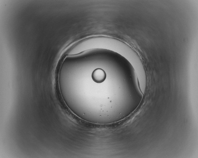 X0000112210344200908281504