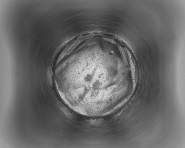X0000112210345200908281504