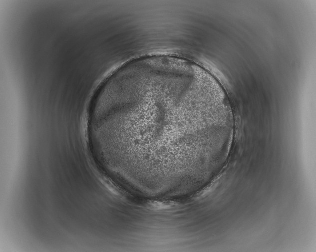 X0000112210346200908281504